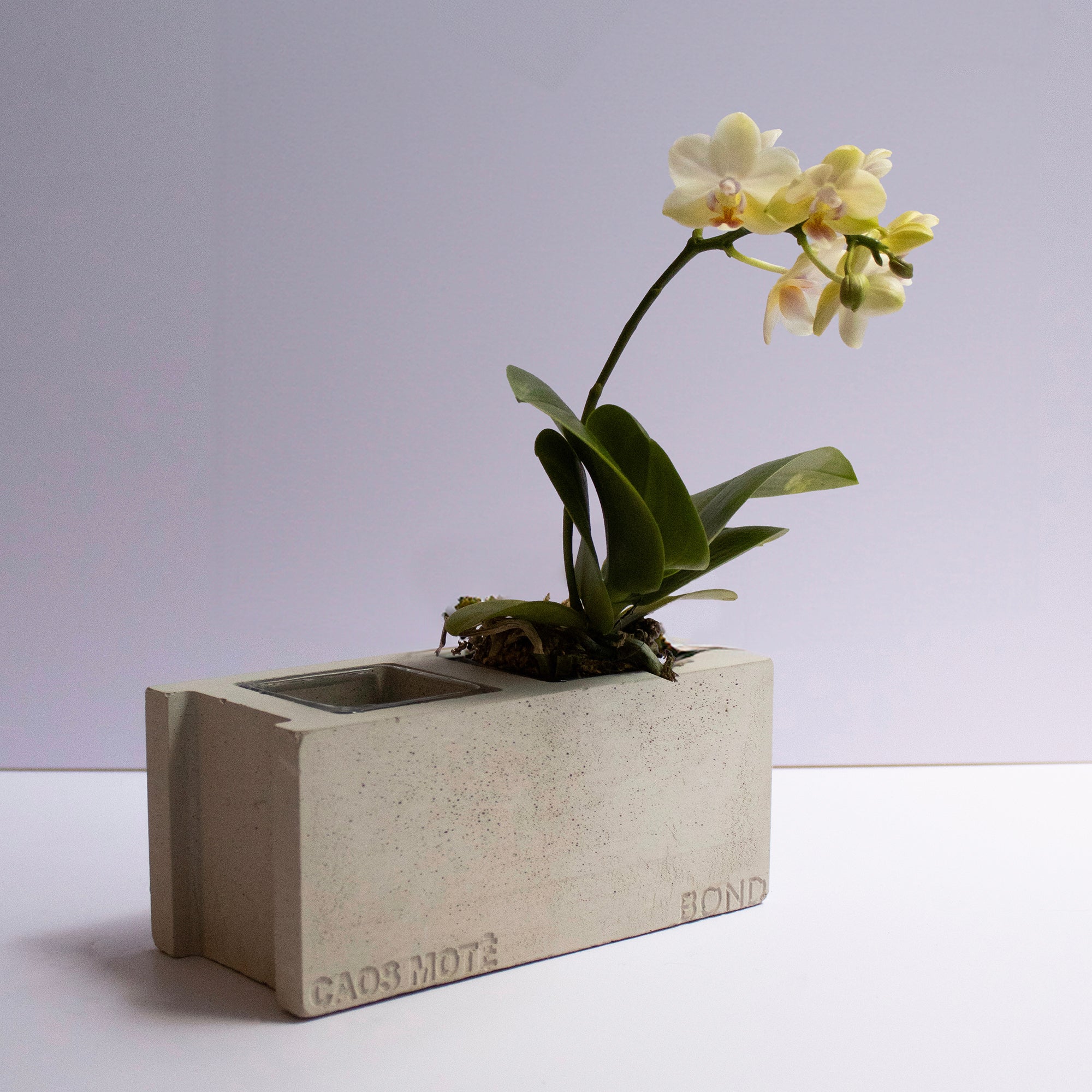 Bond Hardware x Caos Motē Decorative Tray